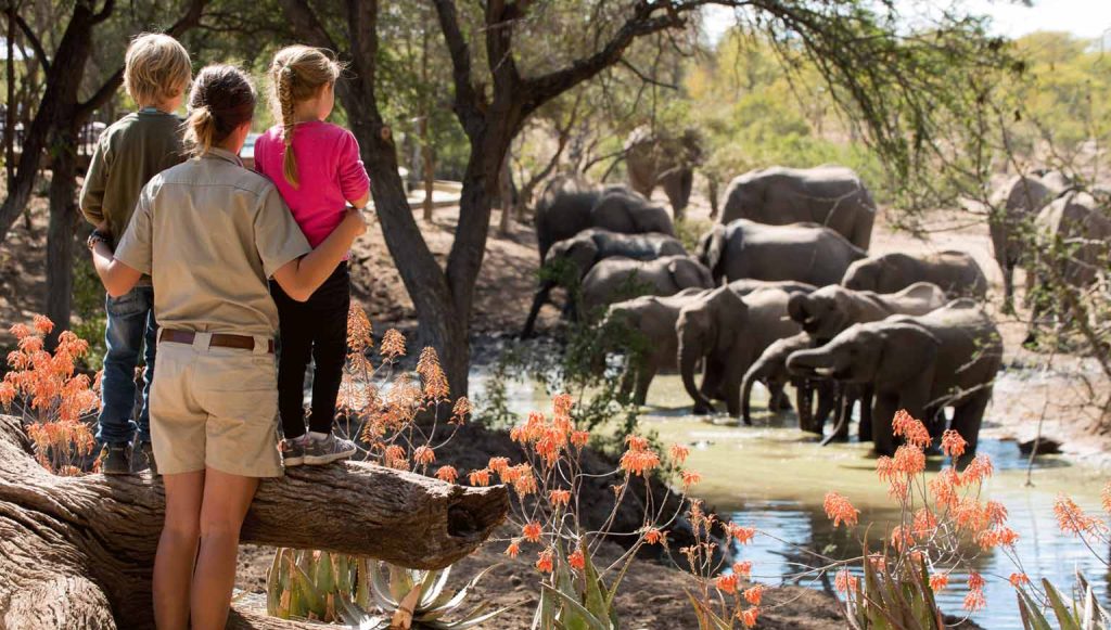 11 Days Tanzania Family Safari