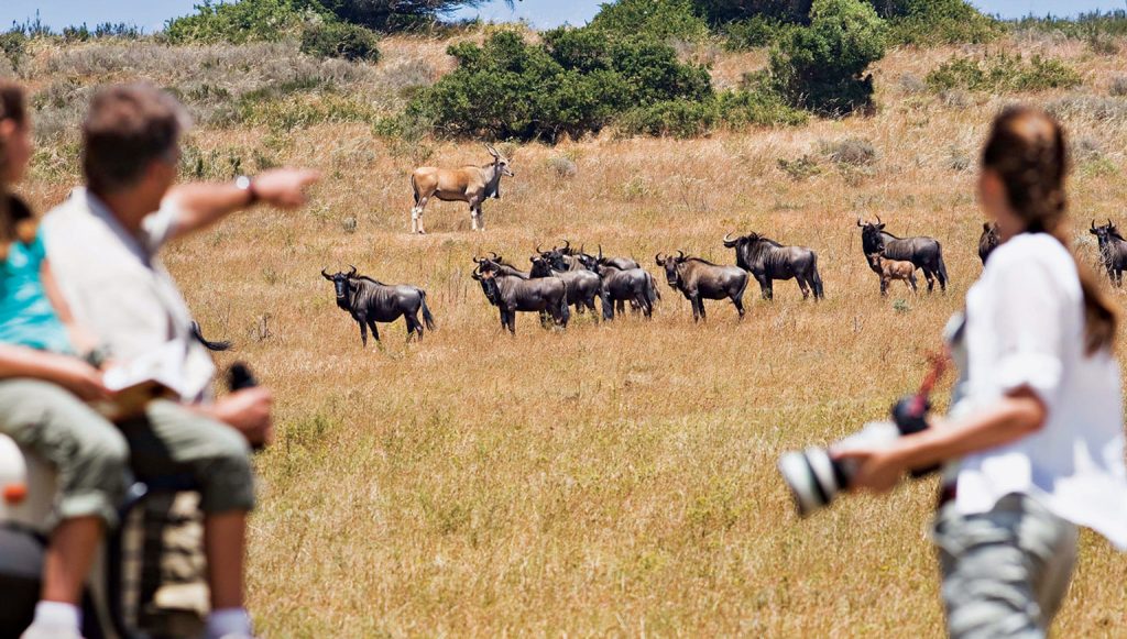 6 Days Tanzania Family Safari