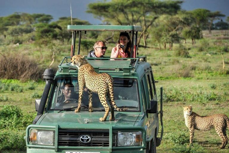 8 Days Tanzania Joining Group Safari