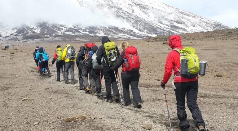 7 Days Lemosho Route Kilimanjaro Climbing 1 7 Days Lemosho Route Kilimanjaro Climbing