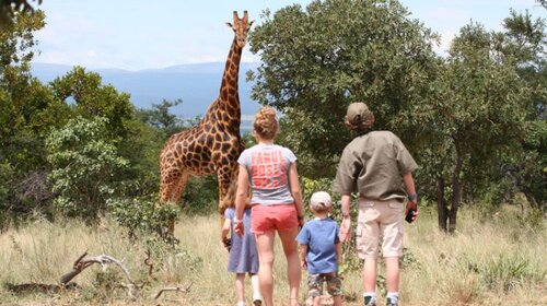 6 Days Tanzania Family Safari