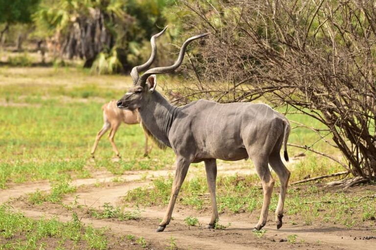 Ibanda Kyerwa National Park