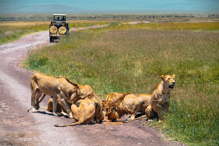 3 Days Tanzania Camping Budget Safari