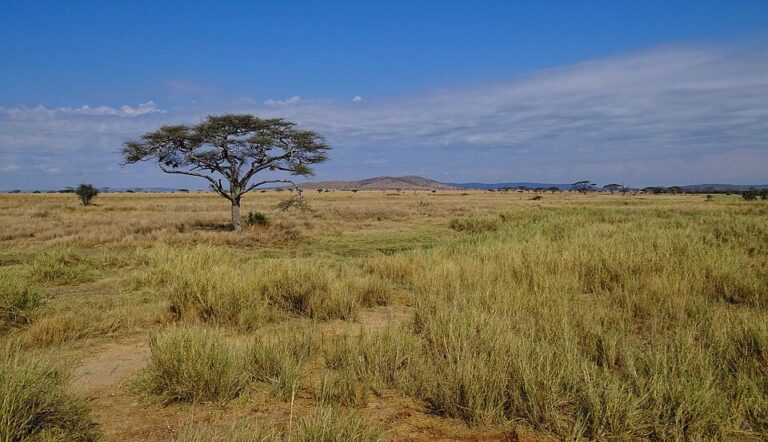 4 Days Tanzania Camping Budget Safari