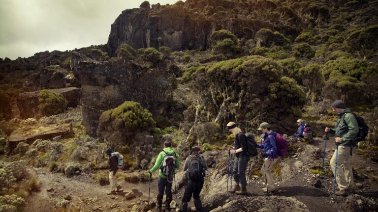 7 Days Machame Route Kilimanjaro Climbing