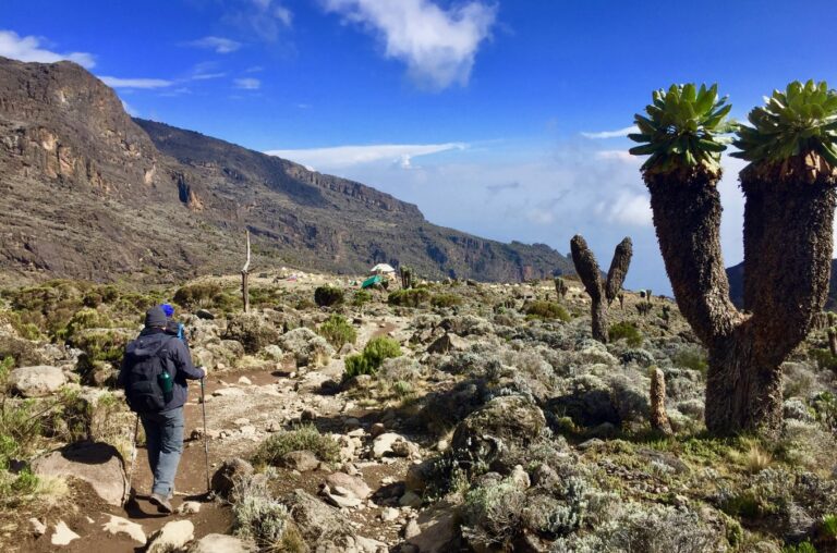 7 Days Machame Route Kilimanjaro Climbing