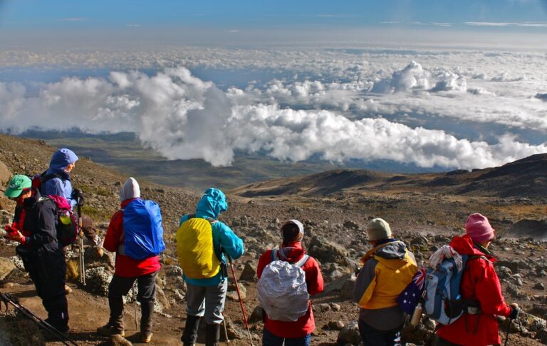 7 Days Rongai Route Kilimanjaro Climbing
