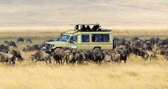 Serengeti National Park