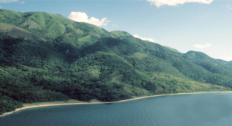 Gombe Stream National Park