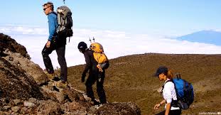 7 Days Rongai Route Kilimanjaro Climbing
