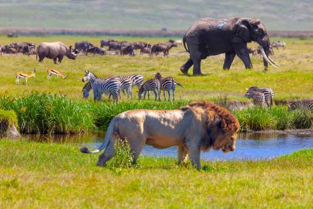 4 Days Tanzania Camping Budget Safari