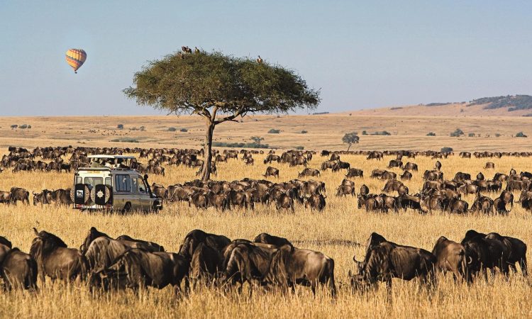 9 Days Serengeti Wildebeest Migration Safari