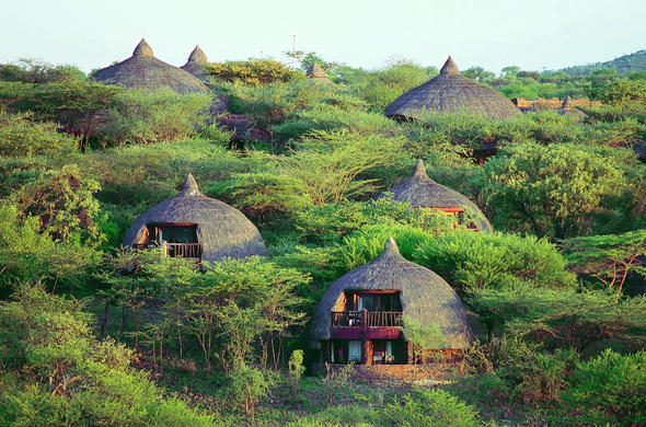 7 Days Tanzania Lodge Safari